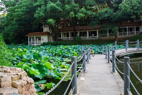 长沙烈士公园，环境好还免费，恋爱圣地：）全国十大城市公园之一