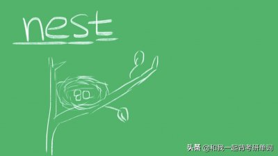 nest什么意思