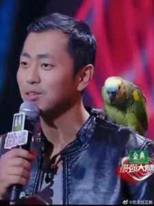 ​最强大脑的“水哥”到底经历了什么？