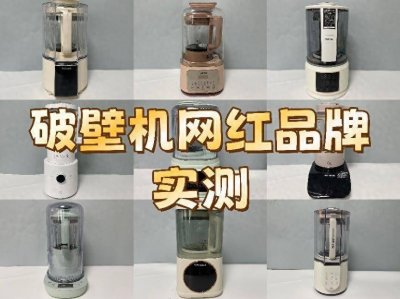 ​破壁机哪个牌子好？精选网红十大品牌实测