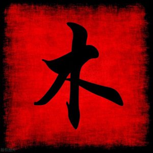 什么叫喜木火之人？喜木火是哪几年出生？