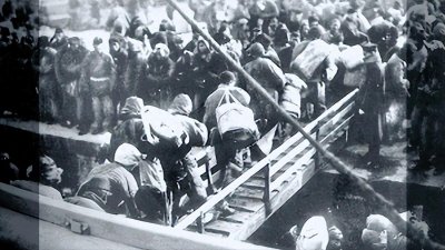 ​当年闯关东的山东人，为什么不去江浙沪，而是去寒冷的东北。