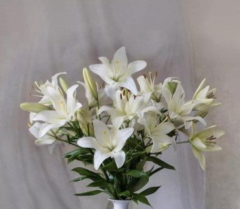 ​湘西大剿匪，解放军四勇士乔装赴宴，李姓二匪目俯首服罪