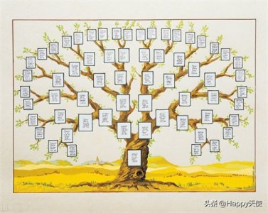 ​搞笑粤语名，创意日本名