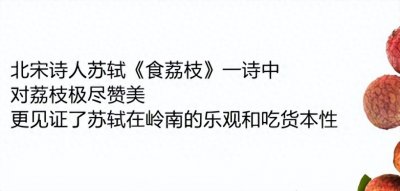 ​荔枝品种大全