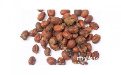 ​肾茶的功效、作用以及使用频率是如何的？每天应该喝多少次？