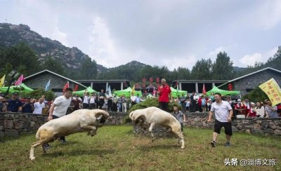 ​揭秘沂源伏羊节活动背后不为人知的秘密。