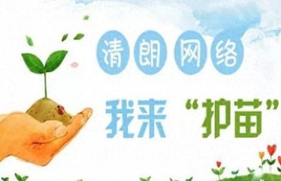 ​揭秘护苗2024：青少年网络安全成长秘籍！