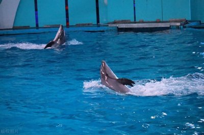 ​（山东篇）青岛必去的八大景点！