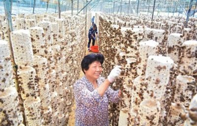 ​守卫青山会让农民“吃亏”？