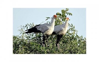 ​爱情公寓3曾小贤演讲