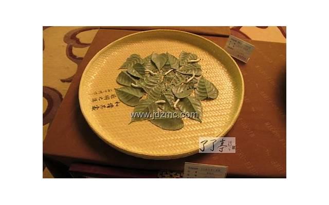 秦牛正威个人资料（秦牛正威延禧攻略里演谁）