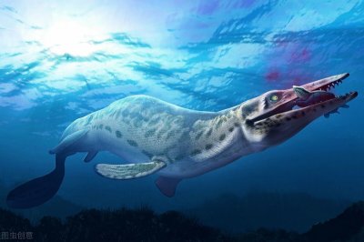 ​新版十大食肉恐龙排名，后续补充五种杀手