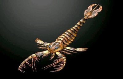 ​地球古生物——板足鲎