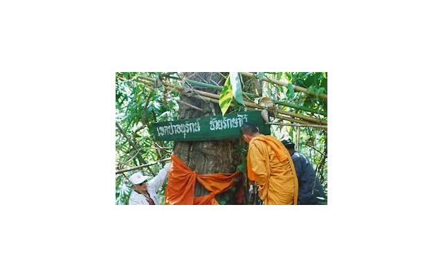 退休后,遇到这三件糟心事,是晚年不幸的征兆,要警惕 退休后,遇到这三件糟心事,是晚年不幸的征兆,要警惕