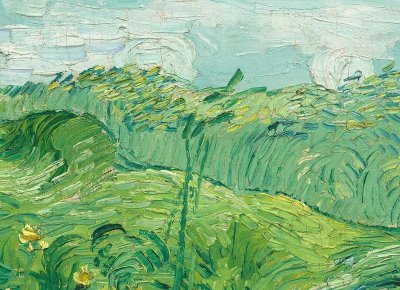 ​一簇桃花开无主(桃花一簇开无主)