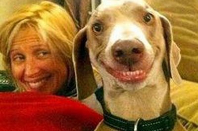 ​红姨和微笑狗恐怖图片 这次又火了起来