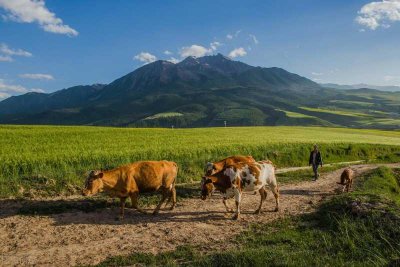 ​周而复始(如何把周而复始的日子过成诗？)