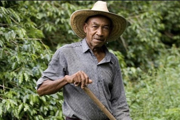 美国毒枭真实人物（国外村民在地里挖出6亿美金）(5)