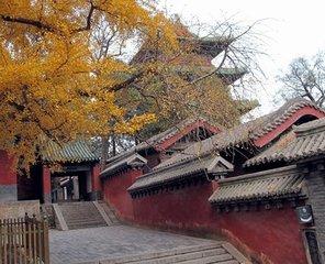 嵩山少林寺旅游路线图（河南嵩山少林寺游玩攻略）(7)