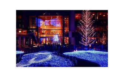 ​七月七号是什么节日（七月七是什么节日情人节）