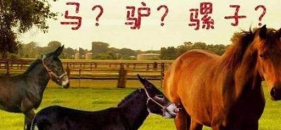 ​如果没有生殖隔离地球会变成什么样?泰坦(如果没有生殖隔离地球会怎么样)