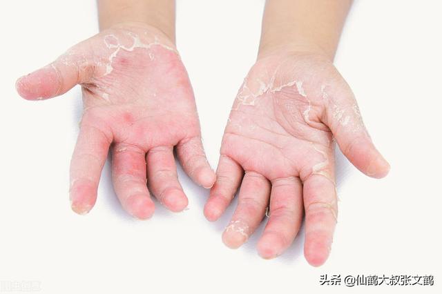 有什么少女心的手帐内容(综合整理你是不是又在撕手了)(2)