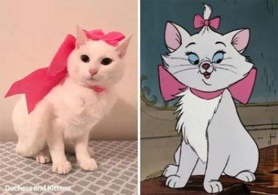 ​狗爱吃自己的屎是为什么，狗爱吃纸