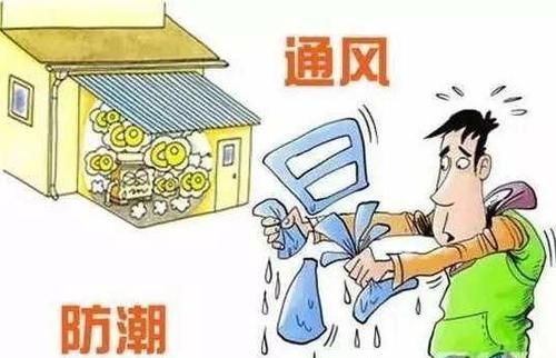 雨季家里潮湿怎么办