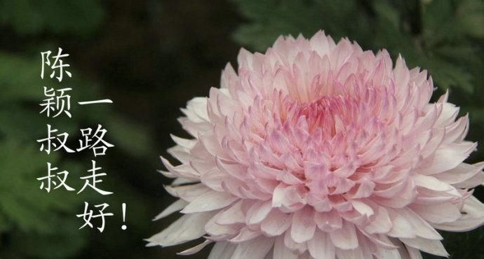 节哀顺便是什么意思还是节哀顺变