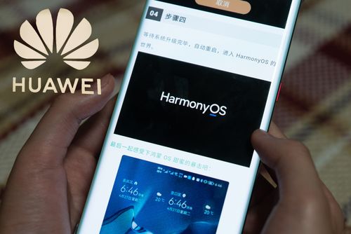 华为的鸿蒙属于什么系统（华为鸿蒙到底是个什么操作系统）