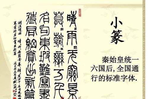 秦始皇统一中国后将哪种文字统一图5