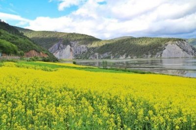 ​纳帕海：湛蓝天空，旷阔草原，纯净湖泊，璀璨花海，瑰丽无比