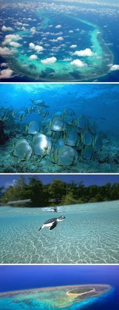 西沙群岛是南方还是北方