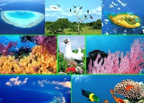 三年级上册课文富饶的西沙群岛从哪些地方可以看出它五光十色,瑰丽无比