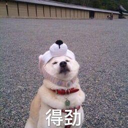 好用到爆的爽肤水（13款好用爽肤水从平价到贵妇）(1)