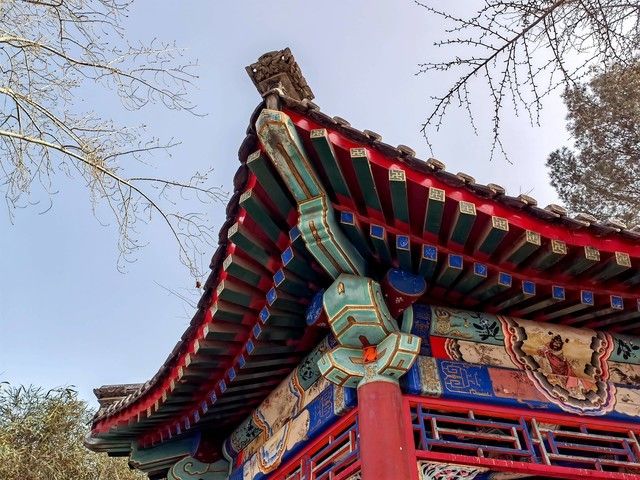 oppo哪款手机拍照最好（推荐四款拍照清晰的手机）