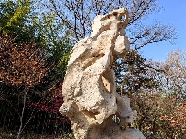 oppo哪款手机拍照最好（推荐四款拍照清晰的手机）