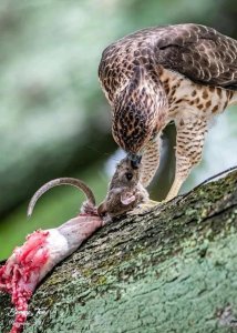 ​28张图片带你看看你不了解的世界，看完整个人都舒服了