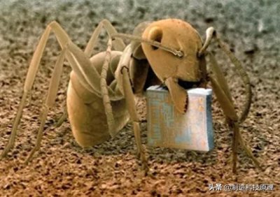 ​22个令人觉得惊奇而又可怕的真实世界的微观图片