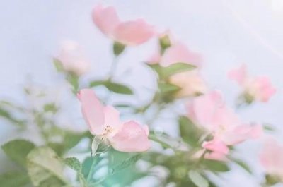 ​地板砖漏水用什么防水材料瓷砖上用什么防水材料好