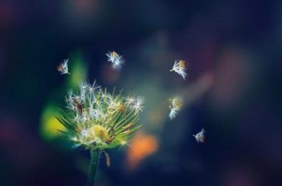 ​定制家具品牌有哪些6家国内知名定制家具品牌定做衣柜家具的步骤和定做衣柜家