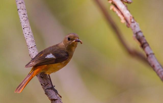 戈壁风景大柴旦(高原小镇一一一大柴旦)(25)