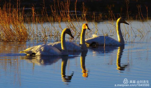 戈壁风景大柴旦(高原小镇一一一大柴旦)(28)