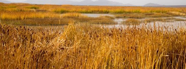 戈壁风景大柴旦(高原小镇一一一大柴旦)(29)