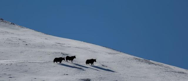 戈壁风景大柴旦(高原小镇一一一大柴旦)(38)