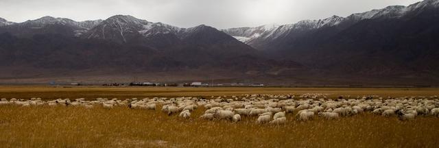 戈壁风景大柴旦(高原小镇一一一大柴旦)(3)