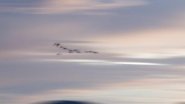 戈壁风景大柴旦(高原小镇一一一大柴旦)(21)