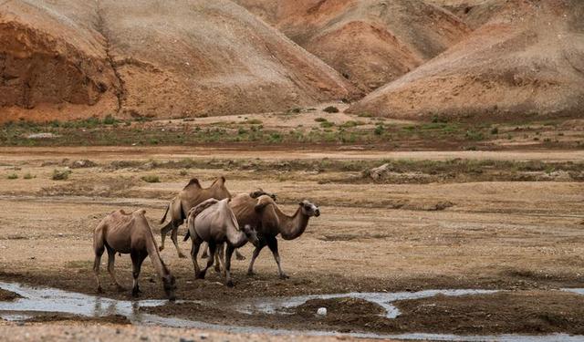戈壁风景大柴旦(高原小镇一一一大柴旦)(9)