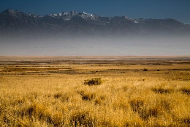 戈壁风景大柴旦(高原小镇一一一大柴旦)(8)
